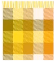 Multi Plaid Throw Blanket 6 Multi Plaid Throw Blanket