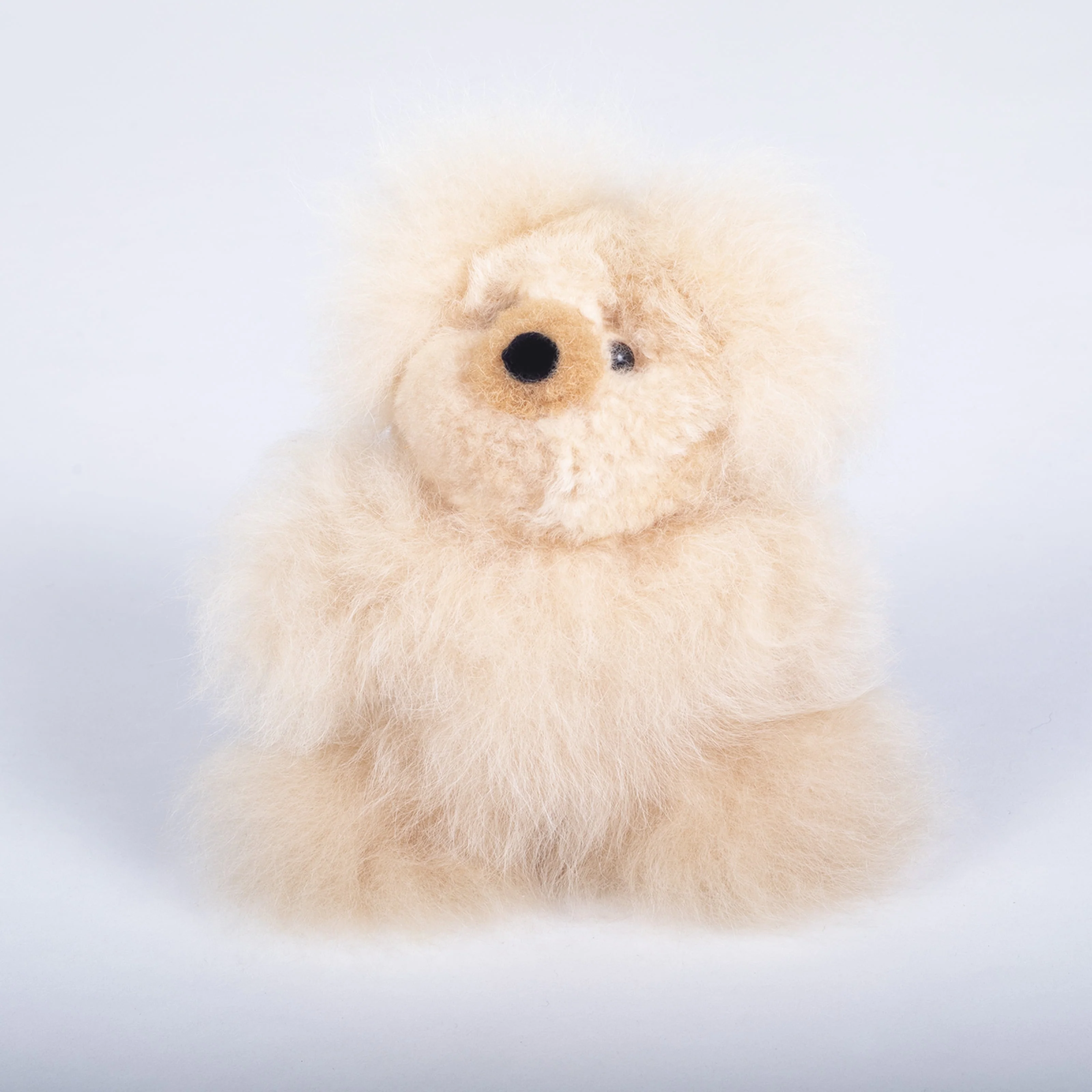 Stuffed Bear Toy
